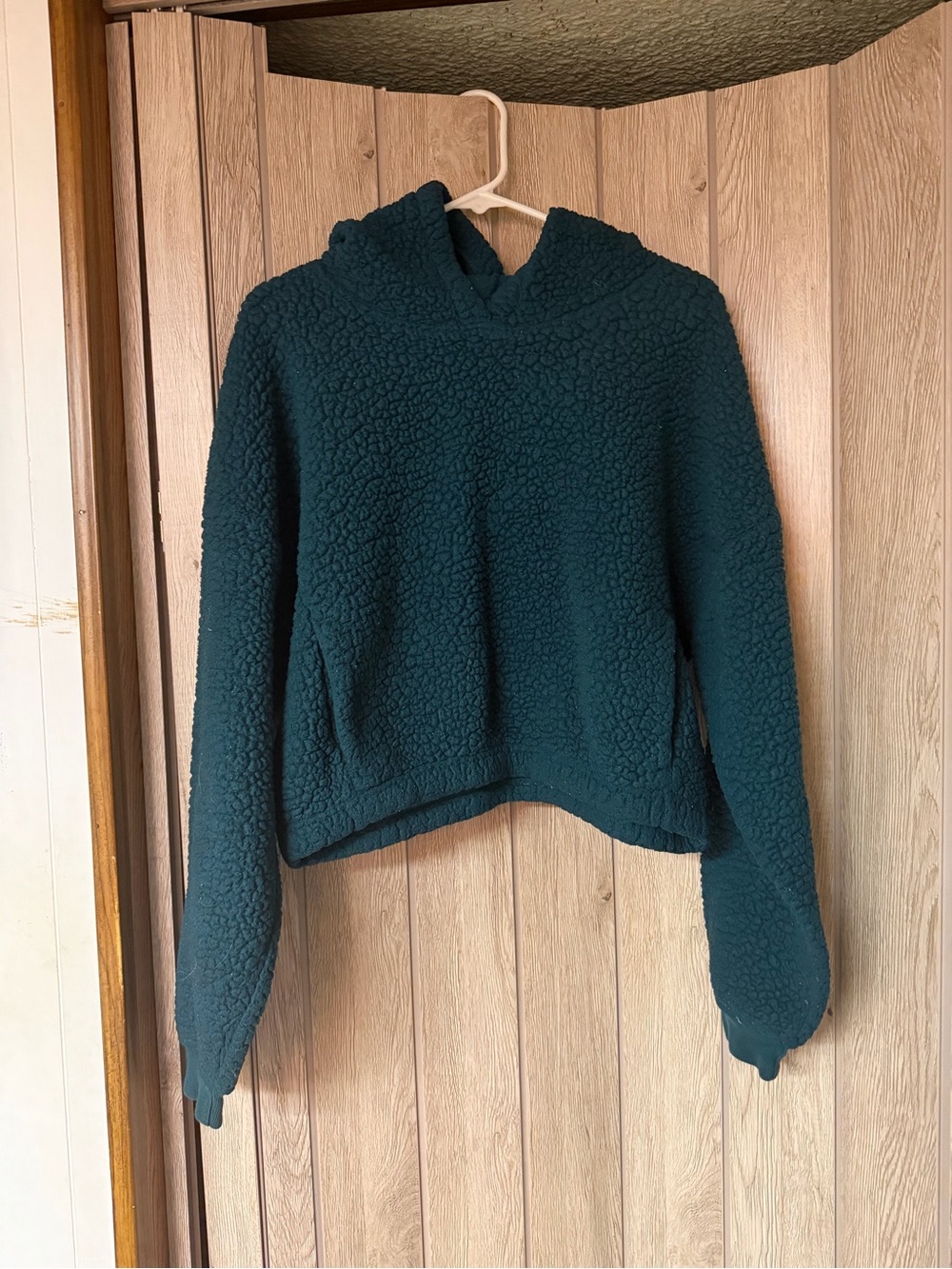 Gilly Hicks Teal Hooded Sherpa Pullover